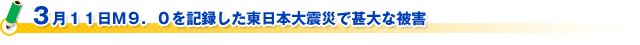 ３月１１日M９．０を記録した東日本大震災で甚大な被害