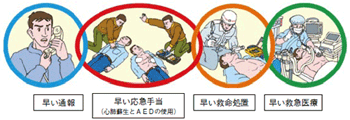 図１　救命のリレー　（(財)救急振興財団「改訂3版応急手当講習テキスト救急車がくるまでに」から抜粋）